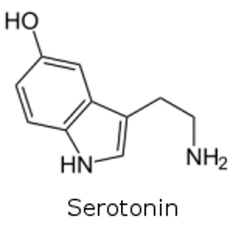Bei Liebeskummer fällt der Serotoninspiegel stark ab